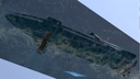 Comet1203.jpg