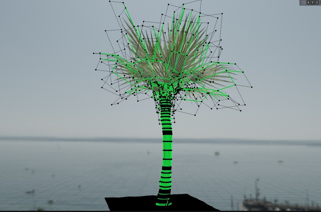 palm_tree6.jpg